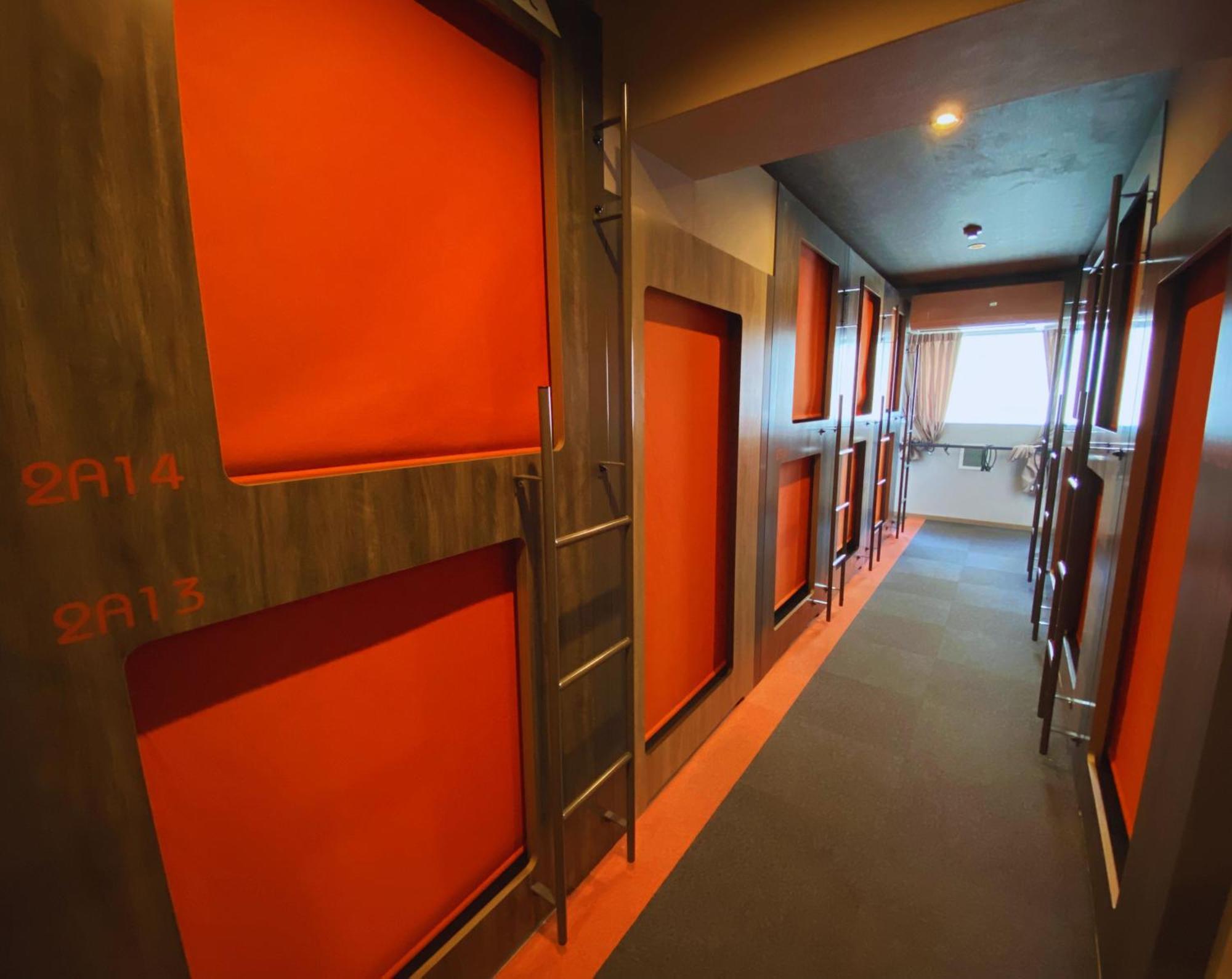 Auberge de jeunesse Beagle Hostel＆apartments